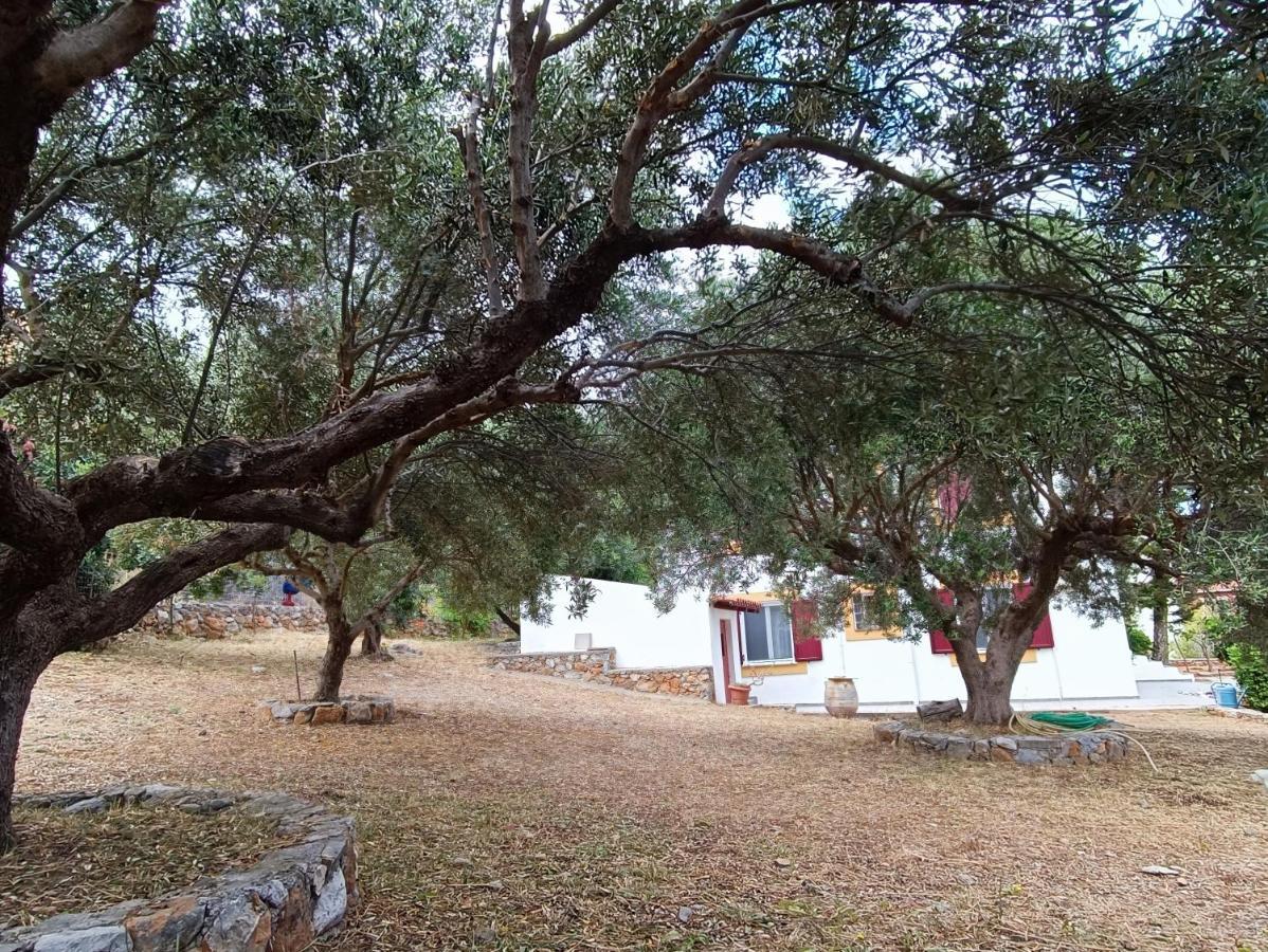 Melivia Holiday home Hersonissos (Crete)